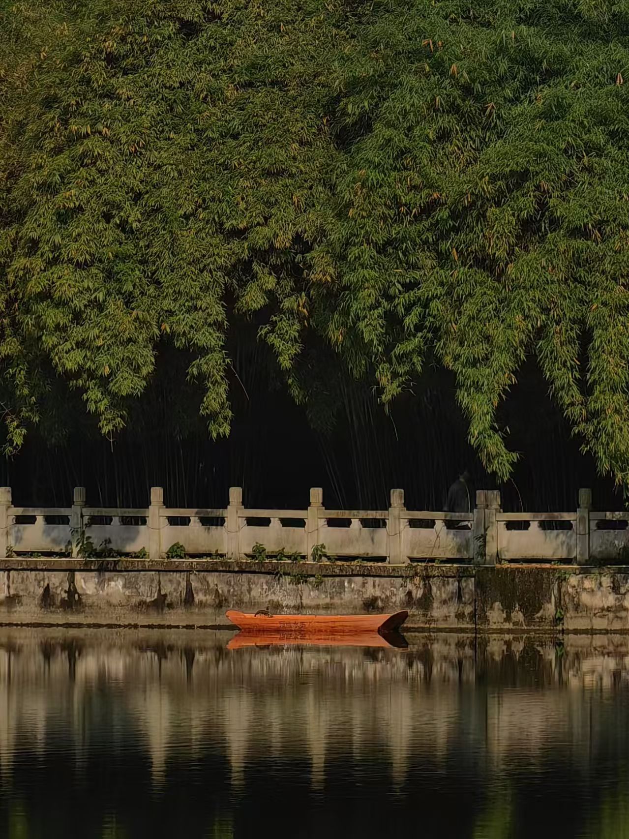 竹影泊舟（摄影）.jpg