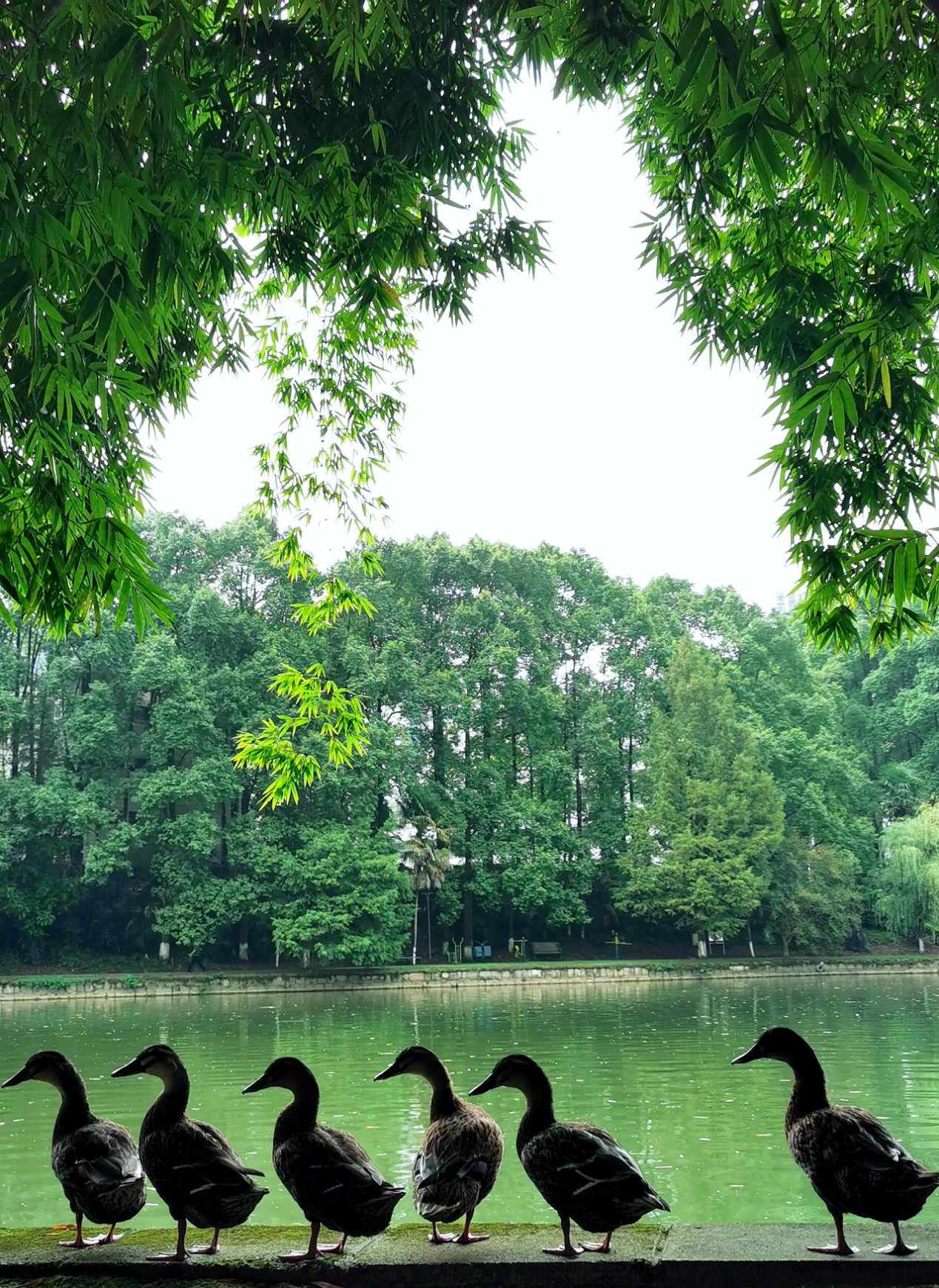 向左看齐.jpg